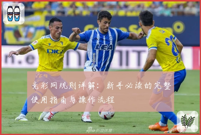 竞彩网规则详解：新手必读的完整使用指南与操作流程