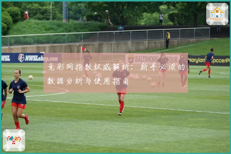 竞彩网指数权威解析：新手必读的数据分析与使用指南