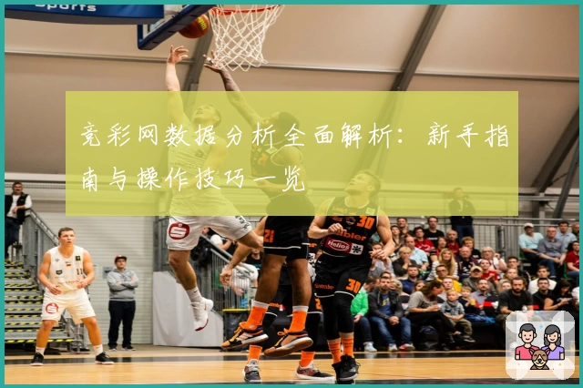 竞彩网数据分析全面解析：新手指南与操作技巧一览