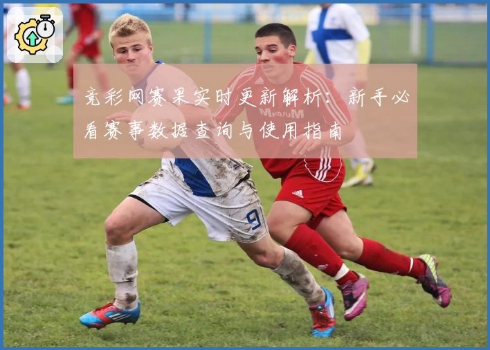 竞彩网赛果实时更新解析：新手必看赛事数据查询与使用指南