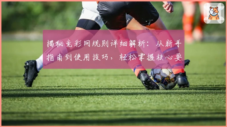 揭秘竞彩网规则详细解析：从新手指南到使用技巧，轻松掌握核心要点